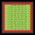 Hum amin ke Pakistan 01 * 22.03.2008 * 329 x 486 * (62KB)